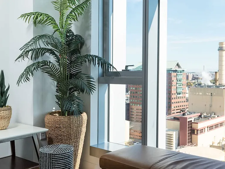 Window View