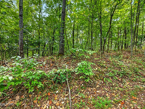 5th image of 29 Timber Ridge Ln