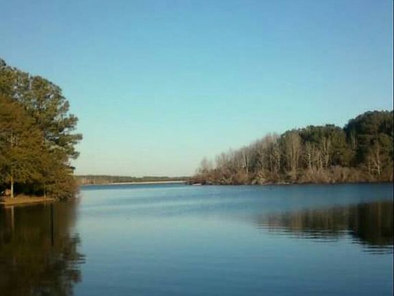 2nd image of 219 Saline Springs Loop