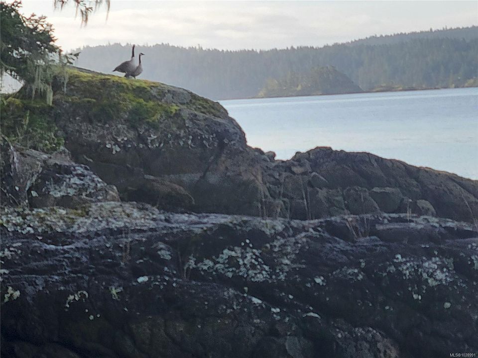 1st image of 5301 Sooke Rd