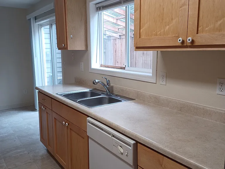 Kitchen sink and dishwasher