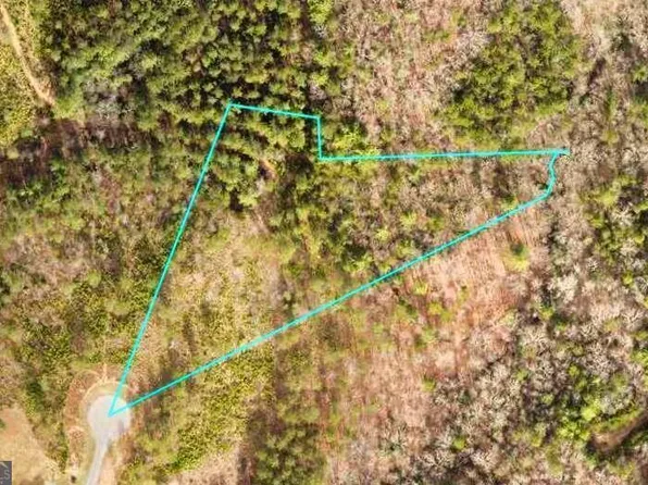LT 1629th #S/d, Blairsville, GA 30512