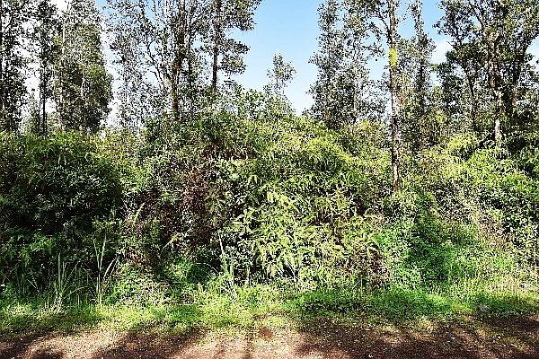 1st image of Aloha Dr Lot 15
