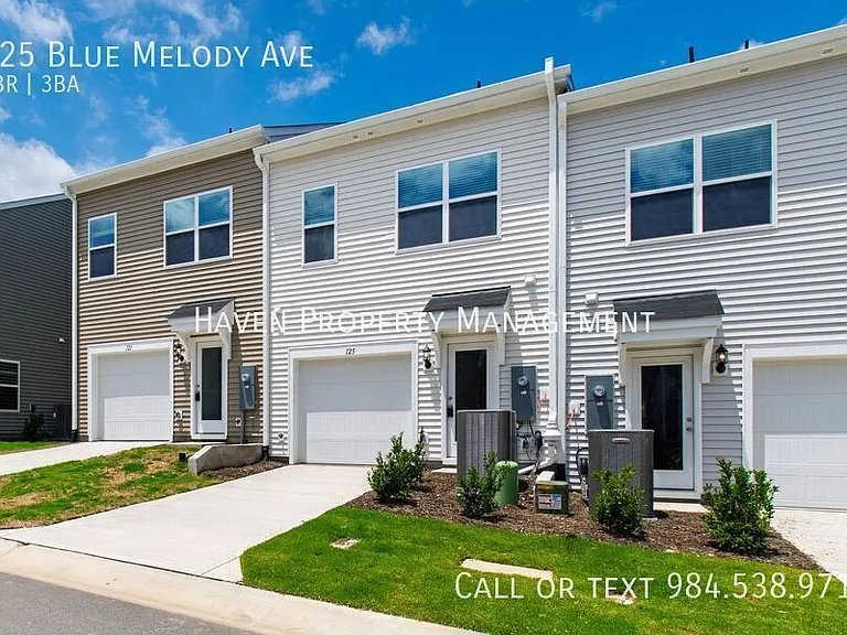 125 Blue Melody Ave — Photo 29