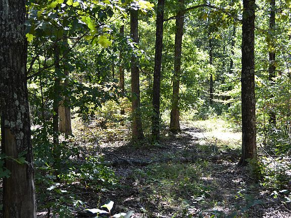 5th image of 0 Beulah Ln