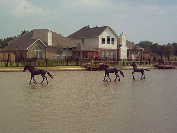 Paradigm Cove Ponies