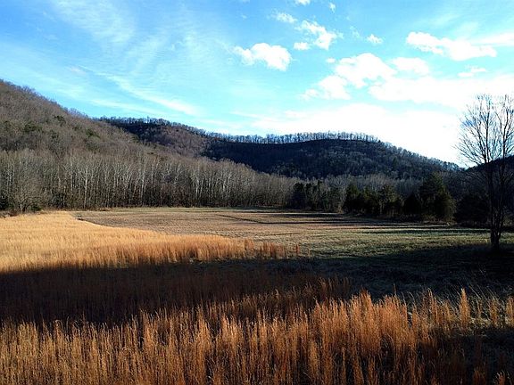 2nd image of 1100 Cow Creek Rd