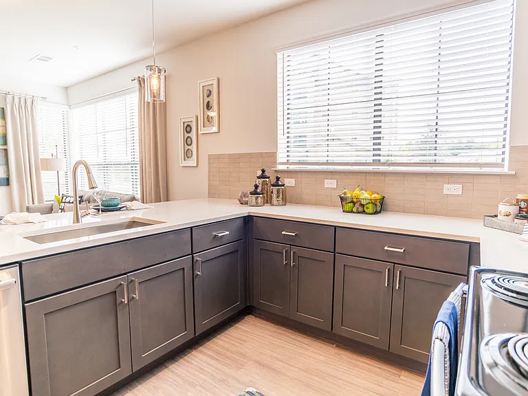 Savannah Oaks in Spring — Photo 46