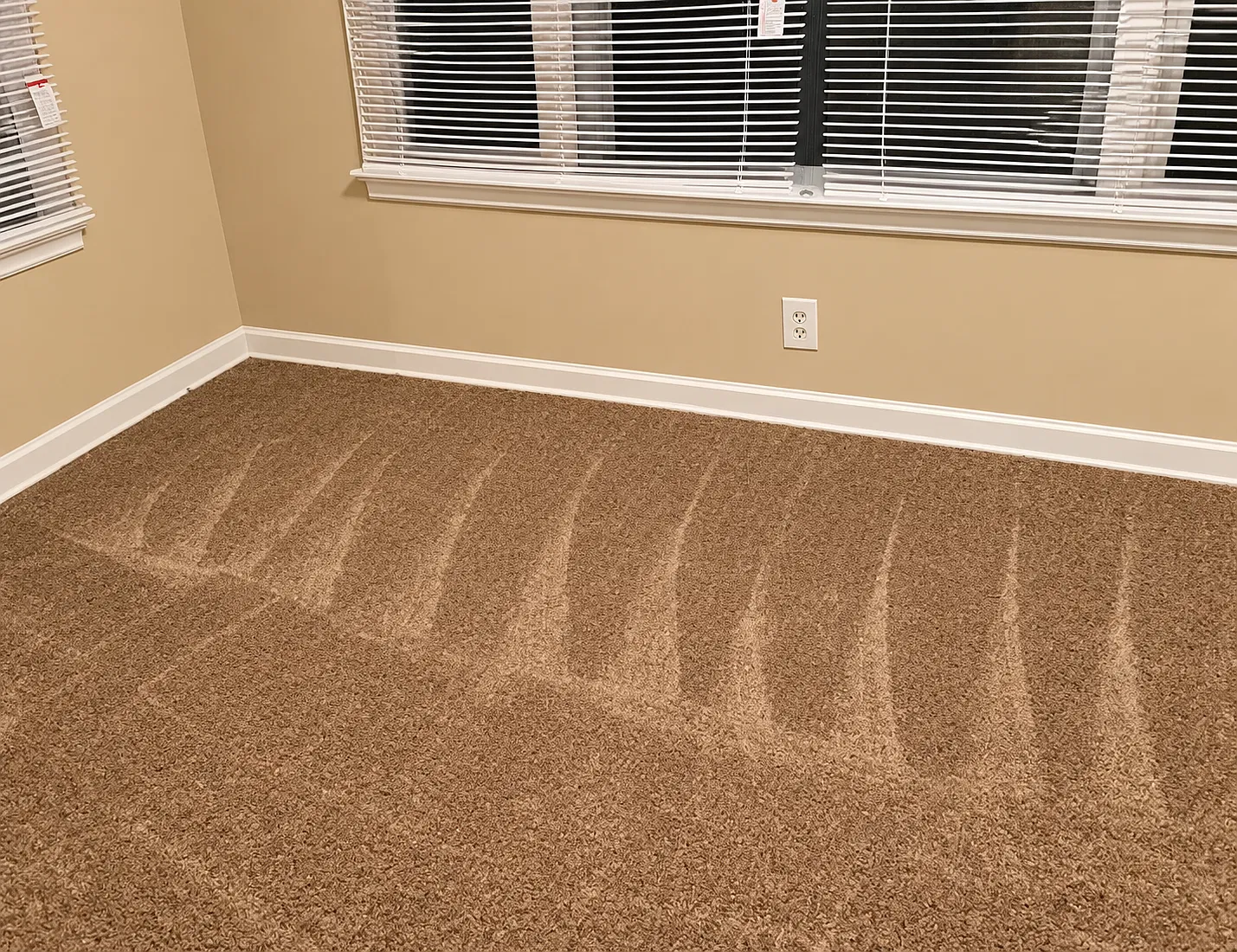 2 bed, 1024 sqft, $1,295 — Photo 4