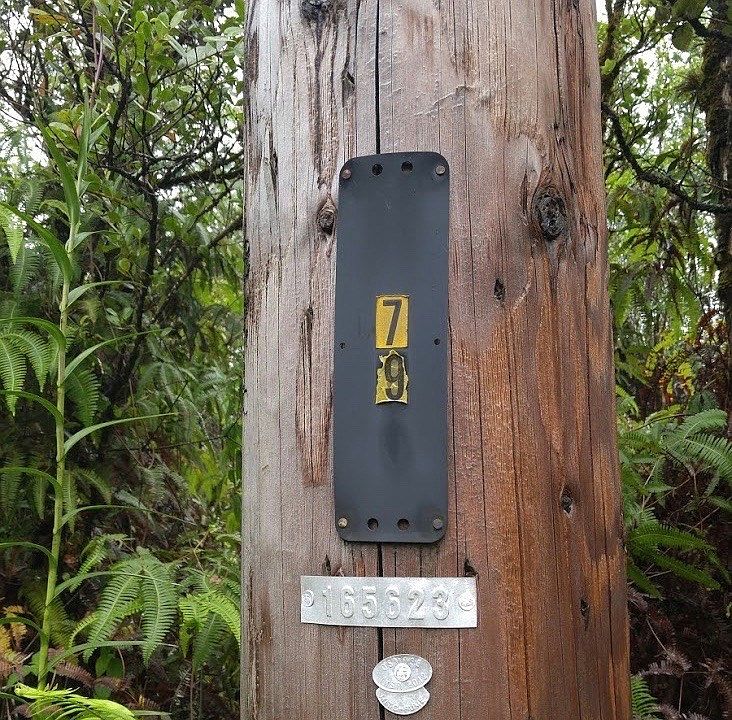 2nd image of 11 3020th #6889
