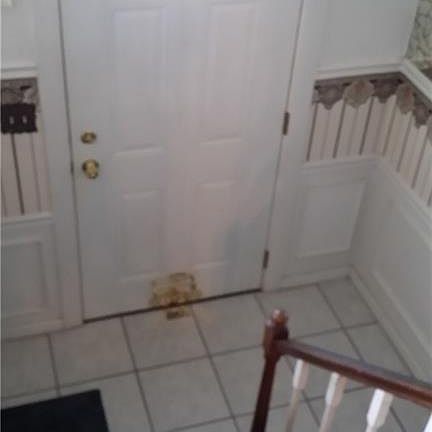 3rd image of 1951 Birch Trace Dr
