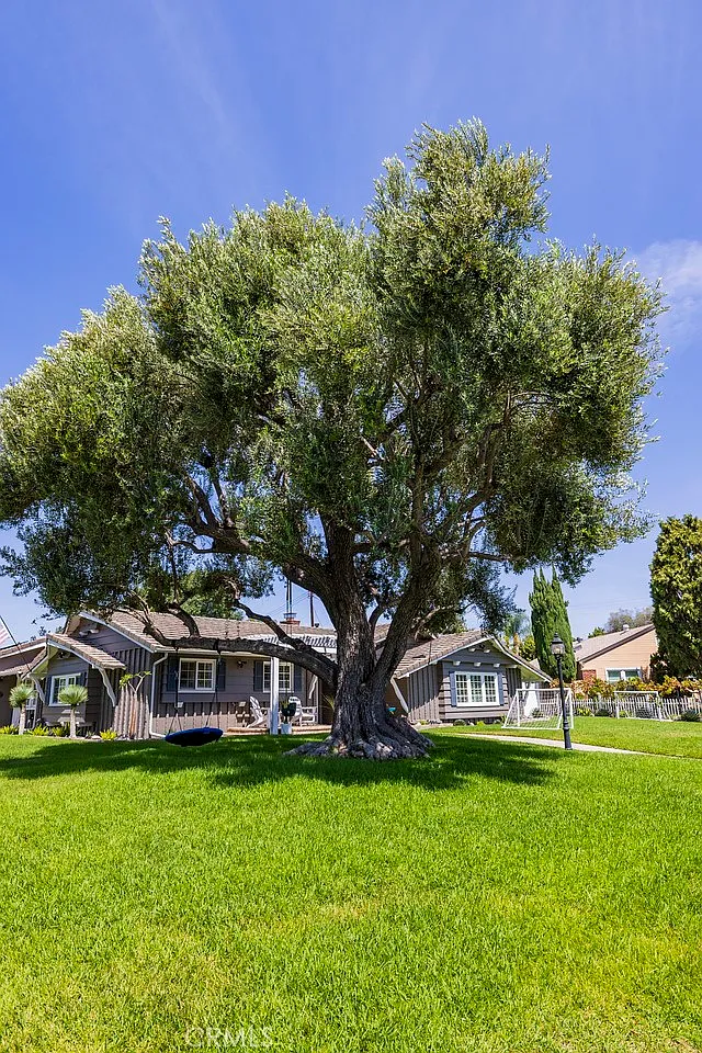 3 bed, 2.5 bath, 2118 sqft, $6,200 — Photo 3