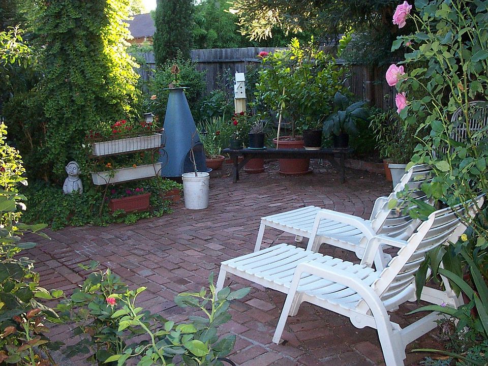 Corner of backyard 