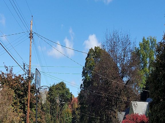 3rd image of 43 Ziegler Ave