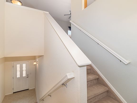 Entry stairs and front door