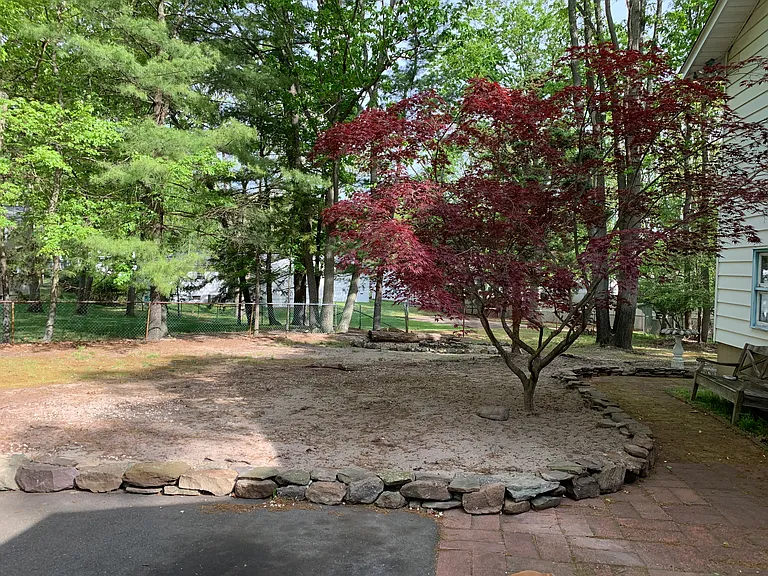 red japanese maple trees