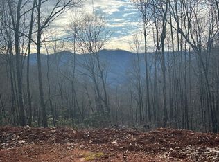 4 Pigeon Creek Rd, Bryson City, NC 28713