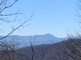 9999 Ebby Rdg #336, Fairview, NC 28730