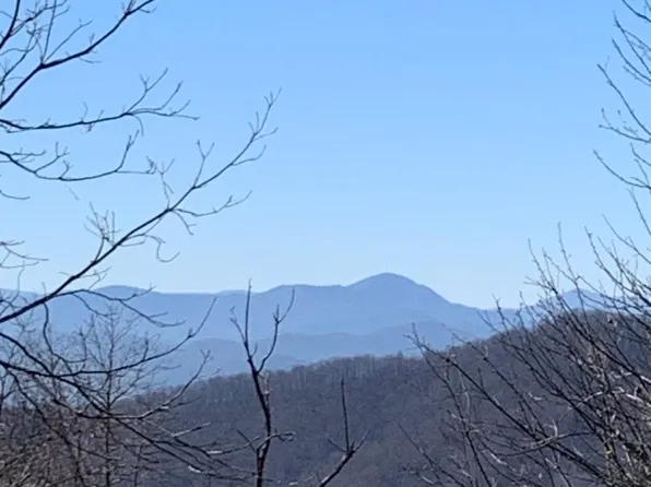 9999 Ebby Rdg #336, Fairview, NC 28730