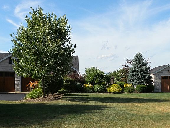 4th image of 8587 Walthour Dr