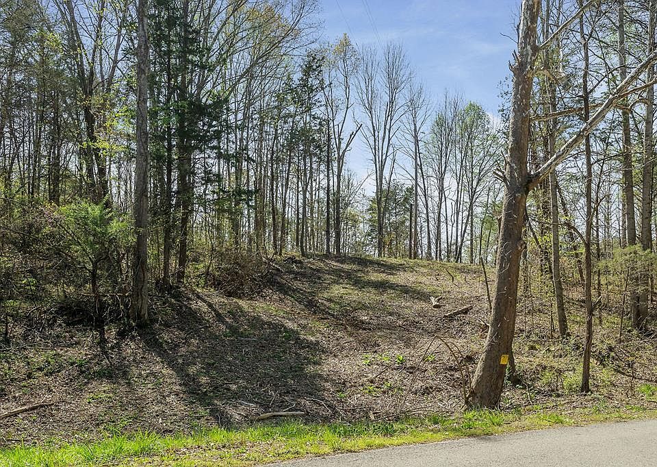 2nd image of 0 Big Springs Rd Tract 31