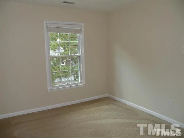 311 Swiss Lake Dr — Photo 18