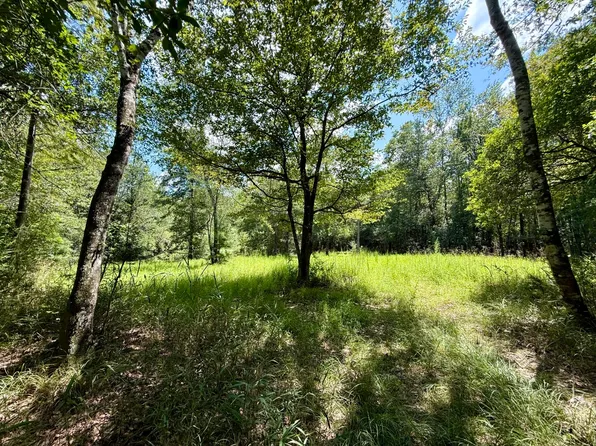 0 Ernest Everett Rd, Vinegar Bend, AL 36584