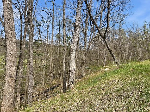 5th image of 0 Tick Ridge Koenig Rd