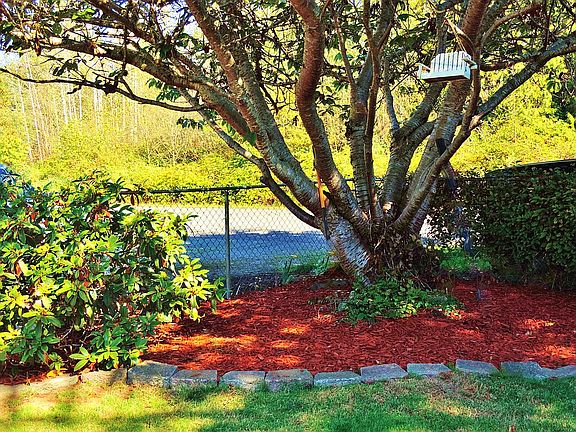 Front yard