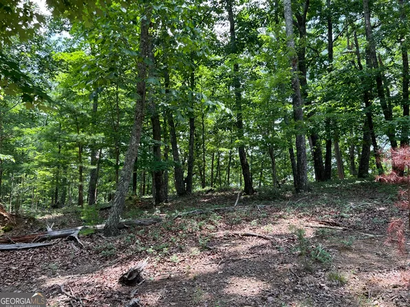 0 Planters Pointe Dr, Baldwin, GA 30511