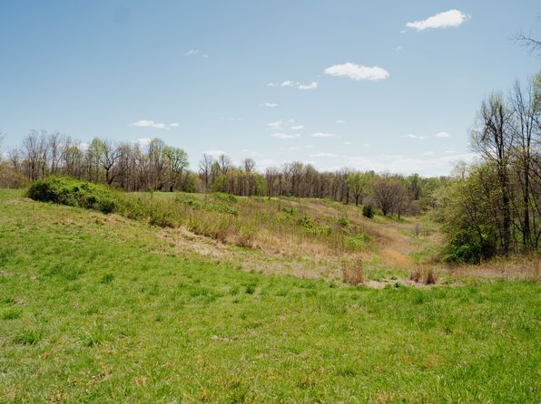 925 Cleve Duke Rd, Hornbeak, TN 38232
