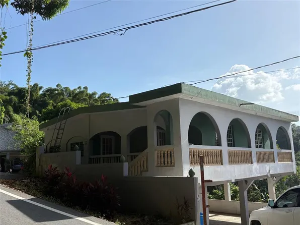 Bo Jagueyes Carr 173 Km 27.3, Aguas Buenas, PR 00703