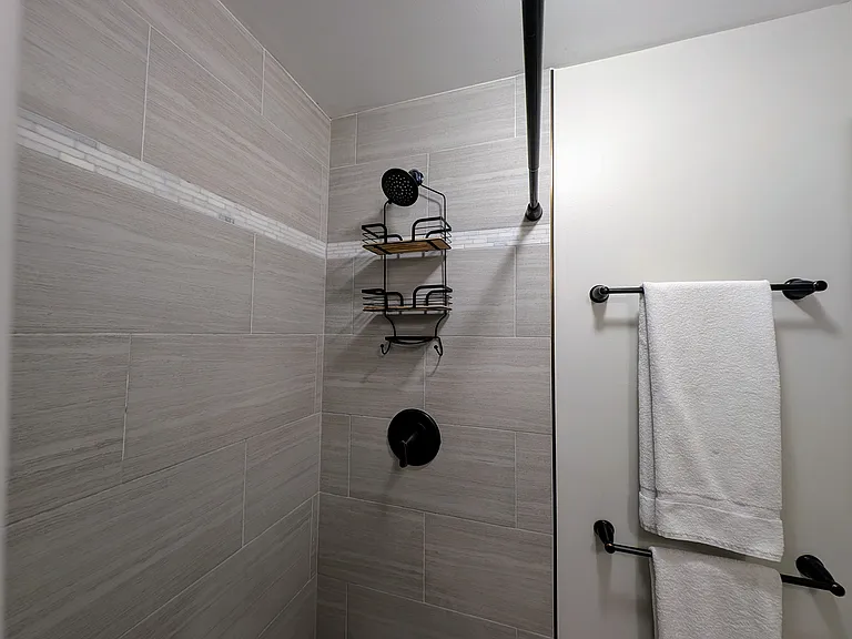 Shower Storage