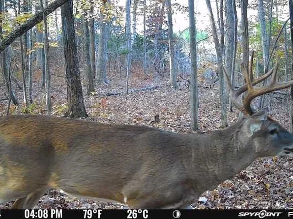 665 Schultz Mill Rd #3, Meherrin, VA 23954