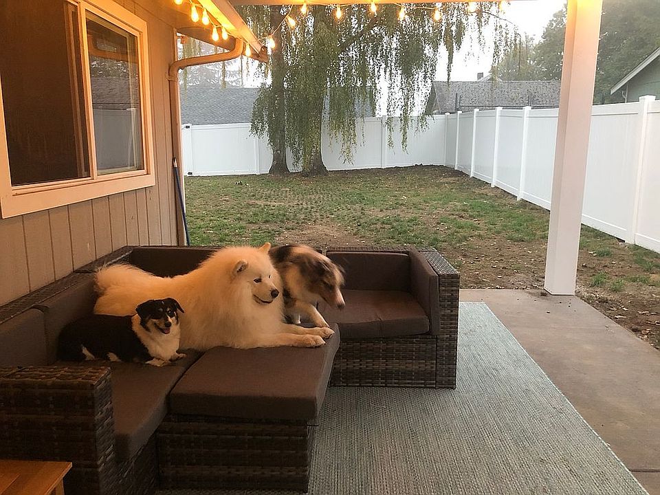 Covered backyard patio