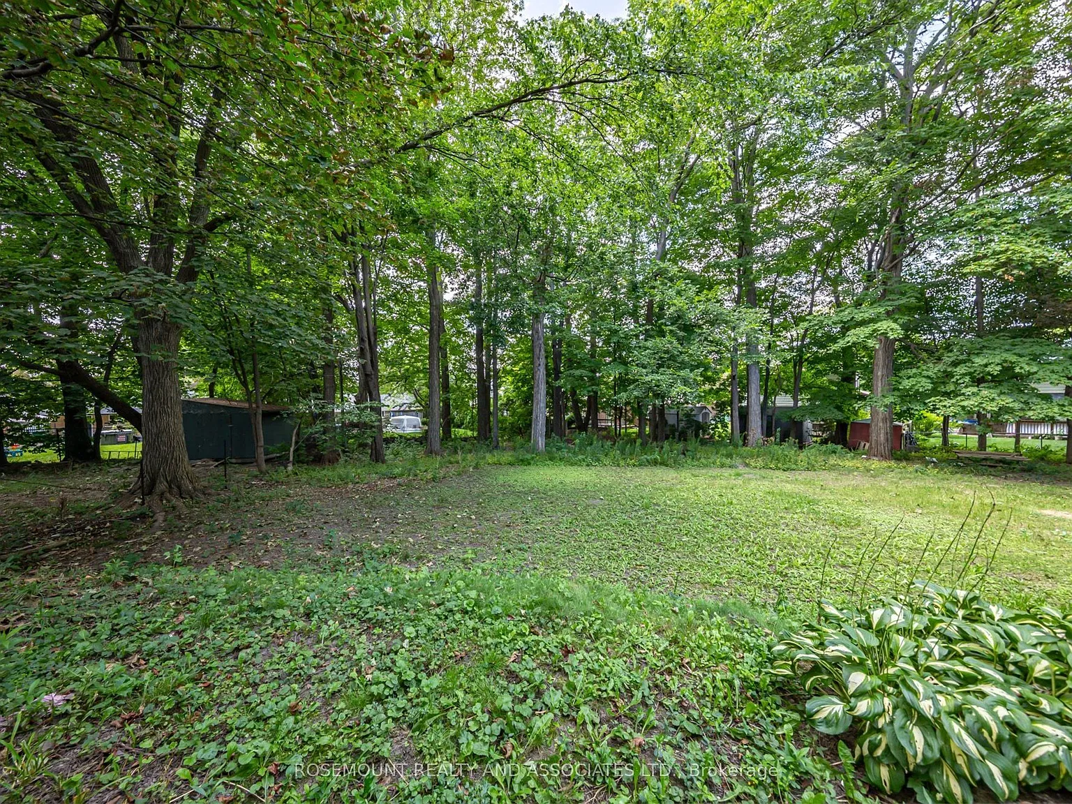 3 bed, $2,000 — Photo 4