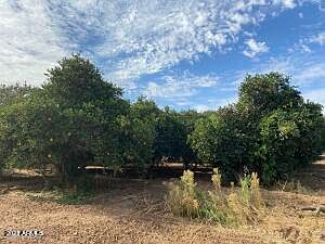 2nd image of XXXXX E Navajo Drive #32
