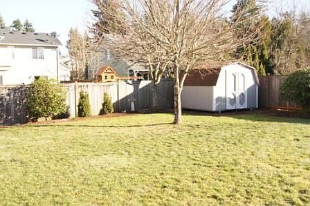 Huge backyard
