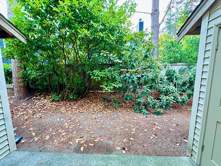 Patio off kitchen.