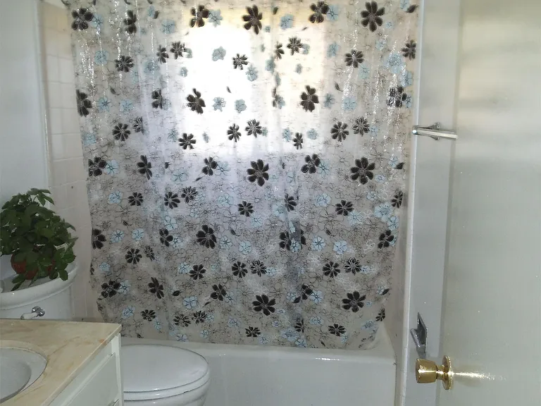 102 East Manfield, hallway bathroom