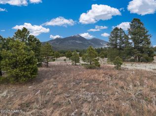 9025 N Snowbowl Ranch Rd, Flagstaff, AZ 86001