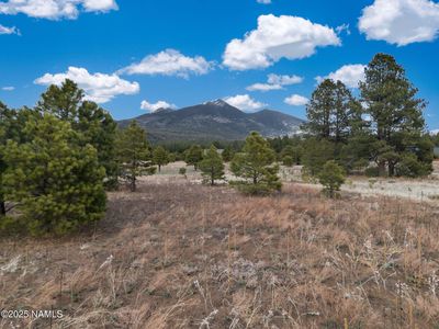 9025 N Snowbowl Ranch Rd, Flagstaff, AZ, 86001