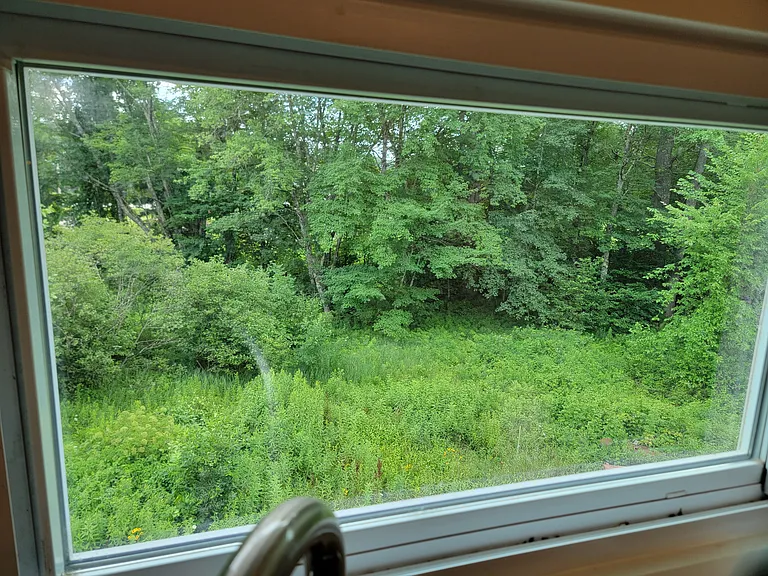 242 Main St #B — Photo 22