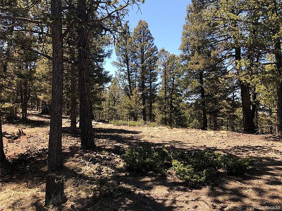 4th image of 320 Saguache Dr