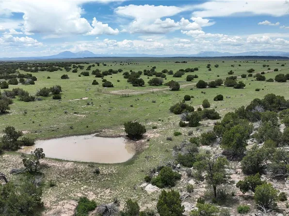 Turkey Ridge Road, Walsenburg, CO 81089