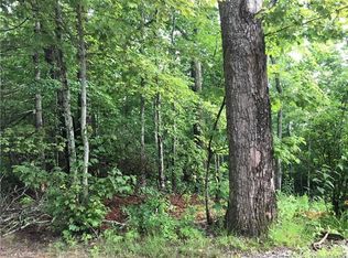 15 South St, Black Mountain, NC 28711