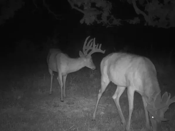 Boothtown Rd, Davis City, IA 50065
