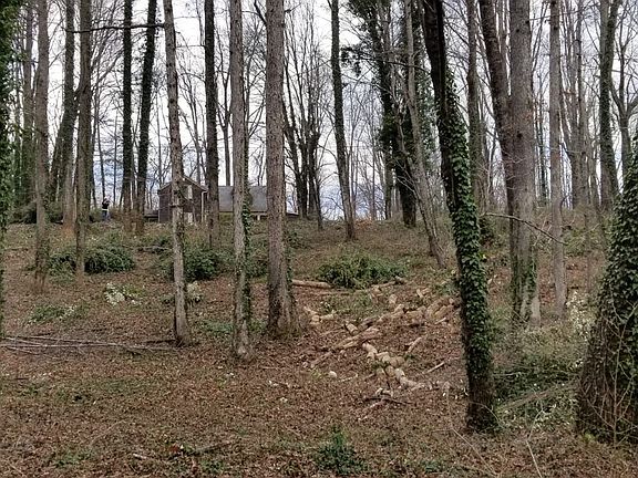 2nd image of Dogwood Ln
