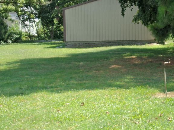 5th image of 125 W Ogara St