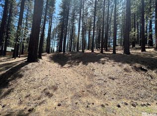 208 Timber Ln, Markleeville, CA